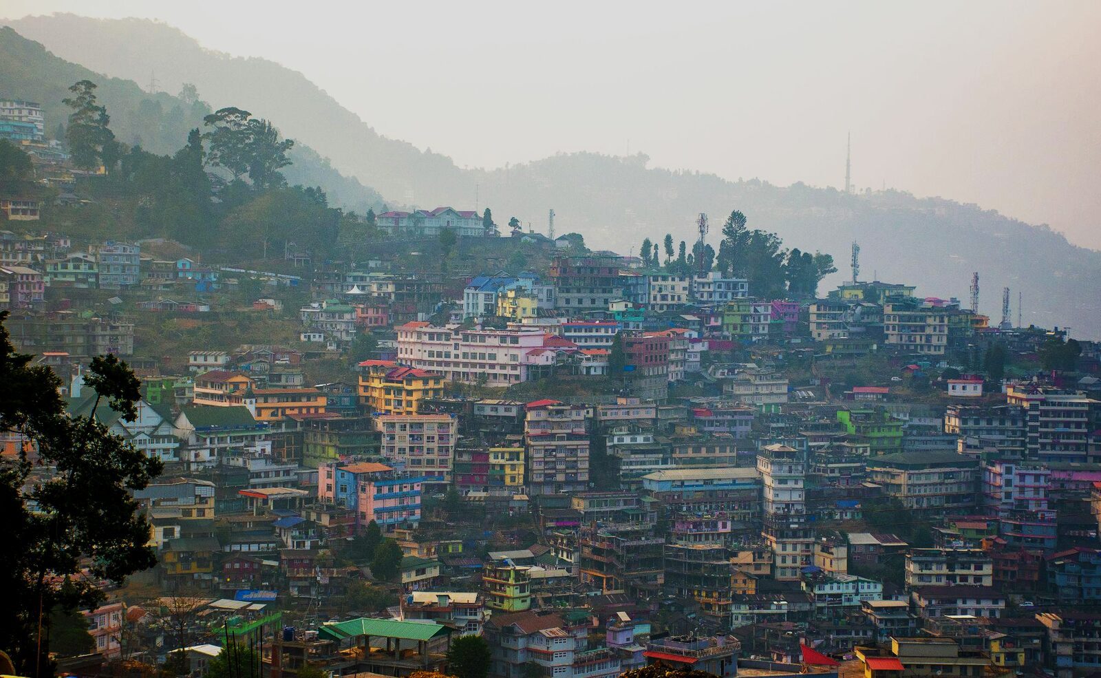 Nagaland