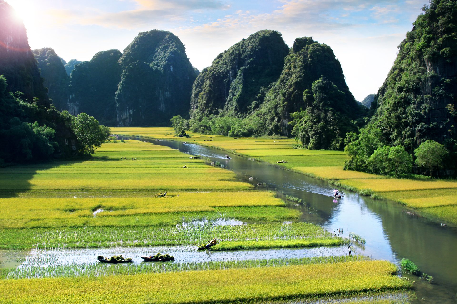 Small rowboats drift along a narrow river through golden rice paddies in Tam Coc, with limestone karst mountains rising on either side.