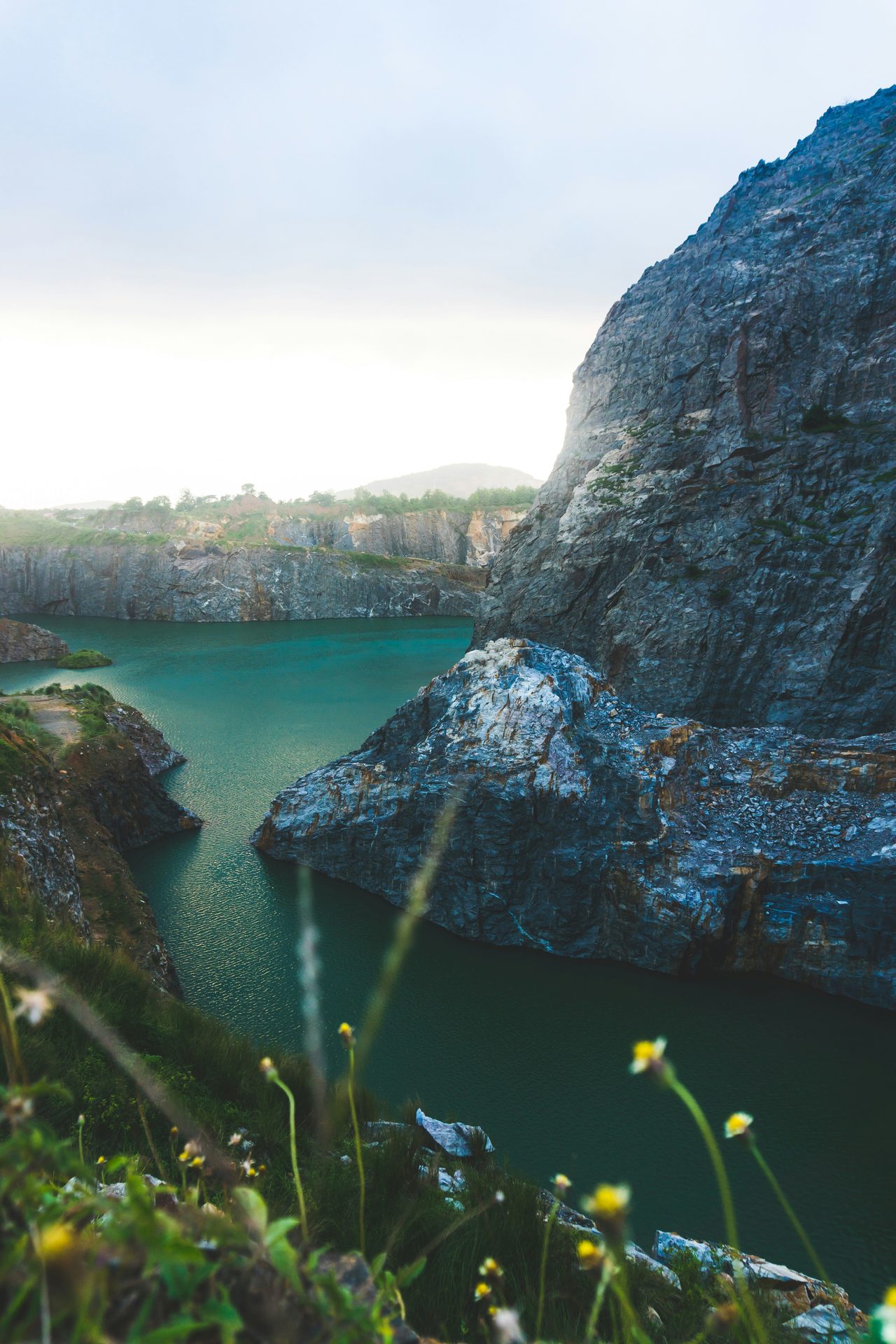 A turquoise lake framed by steep grey cliffs, with wildflowers growing along the rocky edge in the foreground.