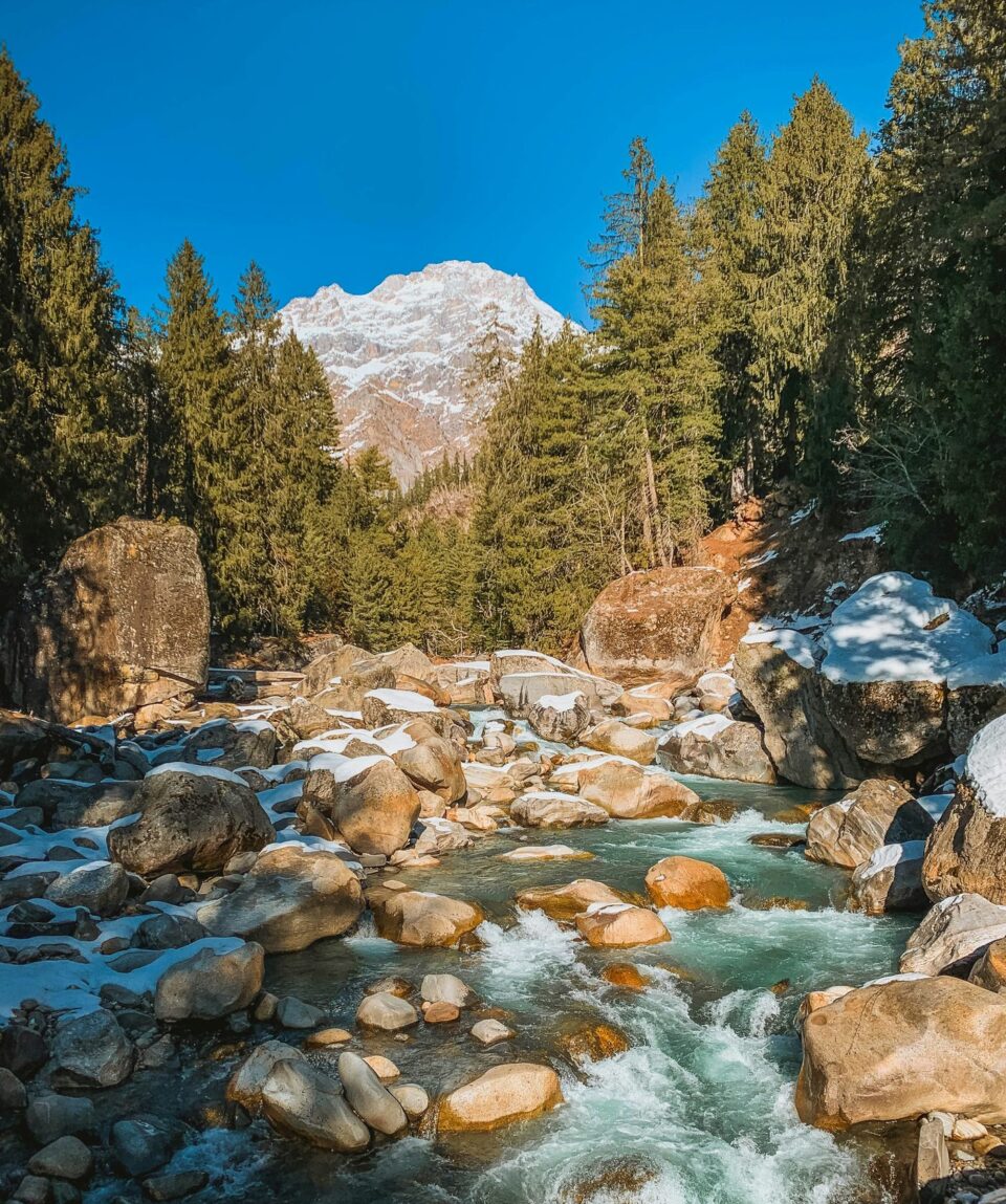 himalayan-forest-stream