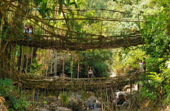 Double-decker living root bridge over a stream in Nongriat, Meghalaya