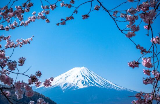 Mount Fuji with cherry blossoms in the foreground, Japan